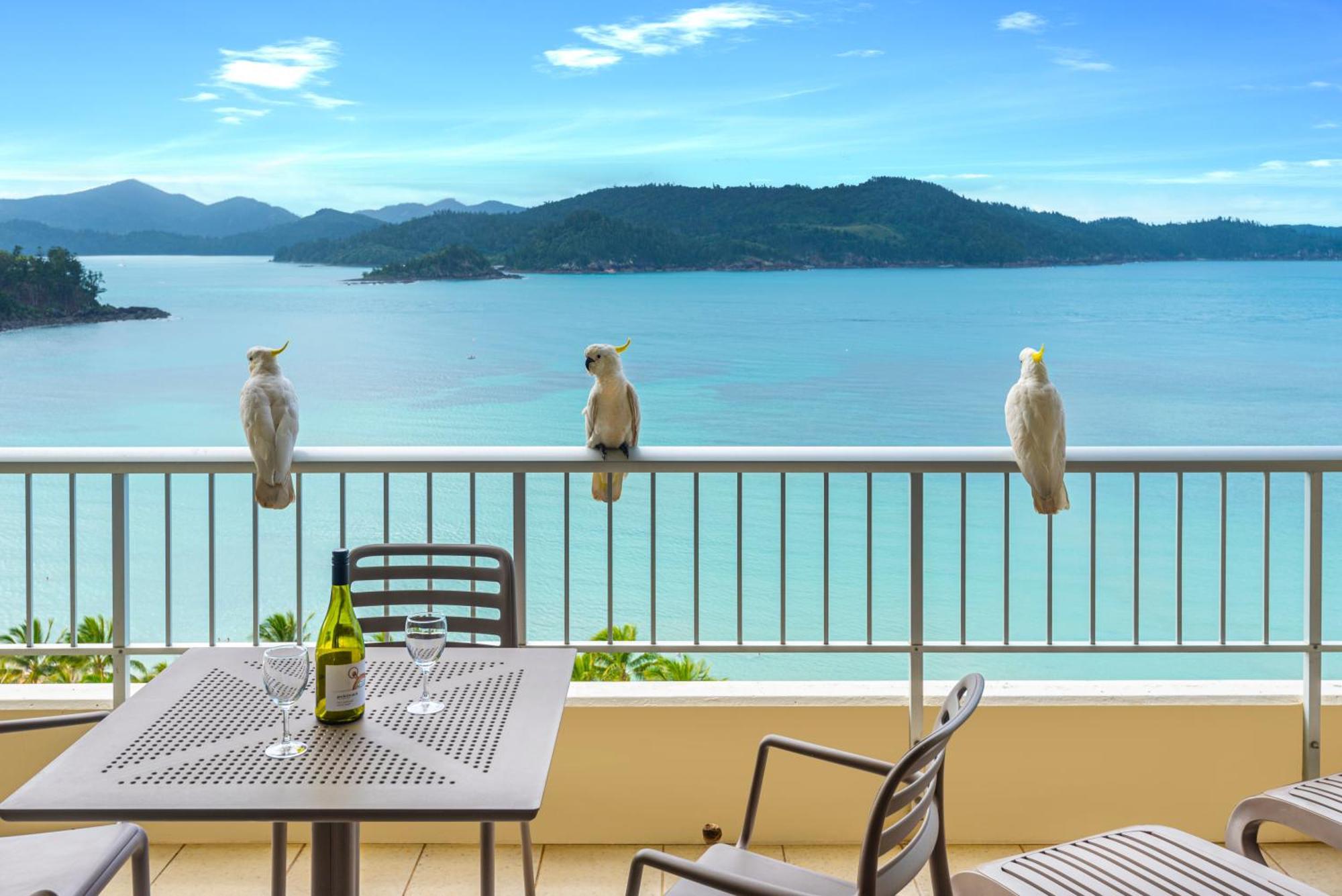 Whitsunday Apartments On Hamilton Island By Hiha Exteriör bild